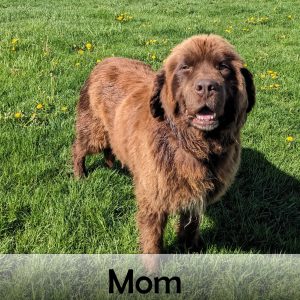 mom