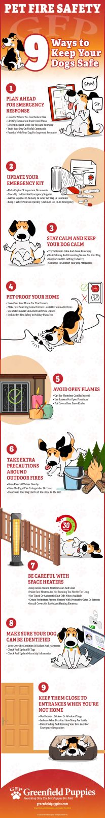 Pet Fire Safety - Ways to Keep Your Dog Safe - Infographic by Greenfield Puppies