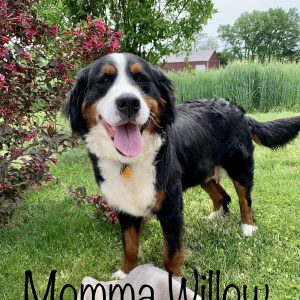 mom