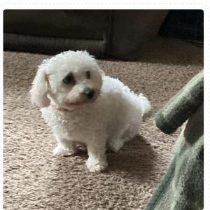 mom