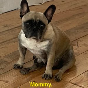 mom
