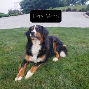 mom