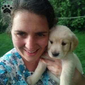 Prairie, English Cream Golden Retriever Puppy