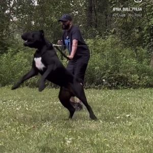 dad