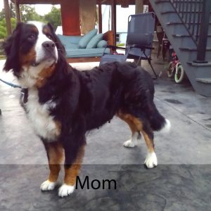 mom
