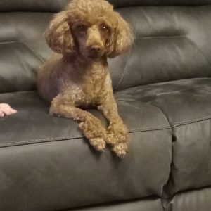 mom