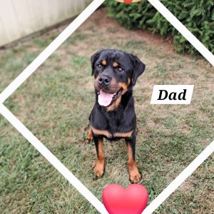 dad