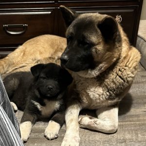 mom
