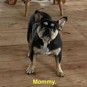 mom