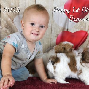 Richard & Lisa Zimmerman, View PuppiesView Puppies Breeder