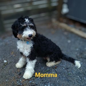 mom