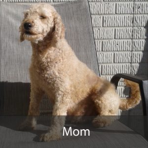 mom