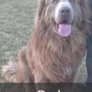 dad