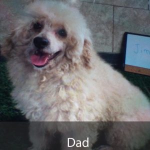 dad