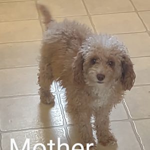 mom