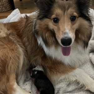 mom