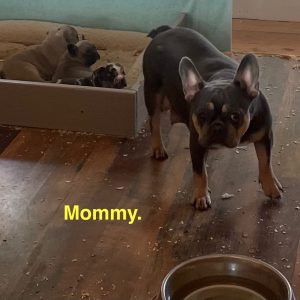 mom