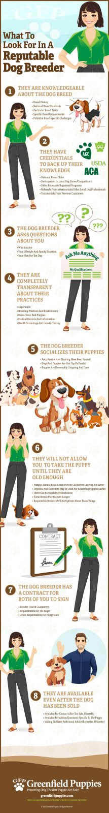 What to Look For in a Reputable Dog Breeder - Infographic by Greenfield Puppies