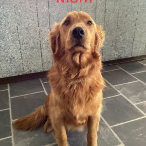 mom