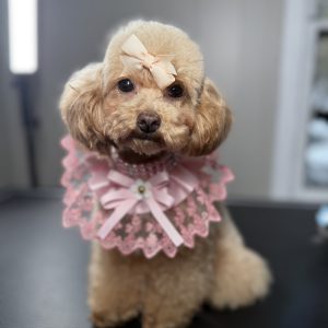 mom