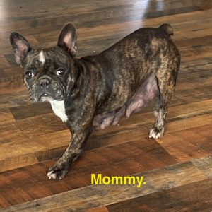 mom