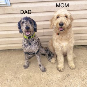 mom