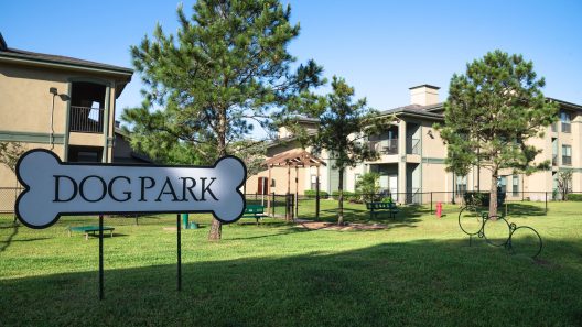 4 Signs You Shouldn’t Take Your Dog to the Dog Park