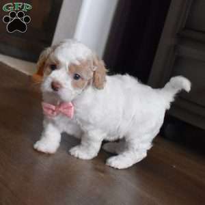 Nadia, Forever Puppy