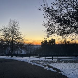 Delbert Hershberger,  Breeder