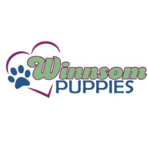 David King,  Breeder