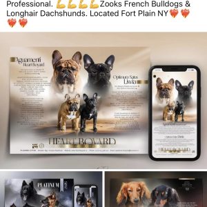 Ephraim Zook,  Breeder