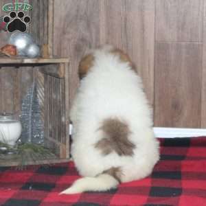Ricky, Great Pyrenees Puppy