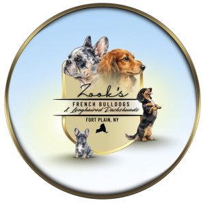 Ephraim Zook,  Breeder