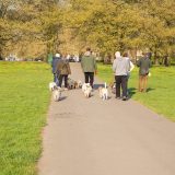 group of people walking their dogs together in the park