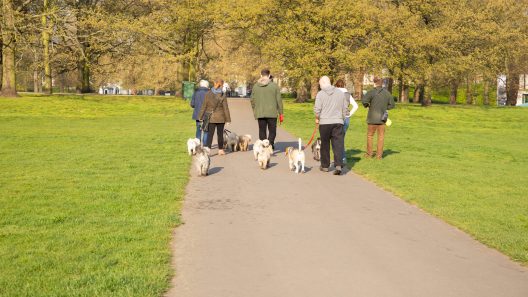 7 Ways Your Dog Helps Your Social Life