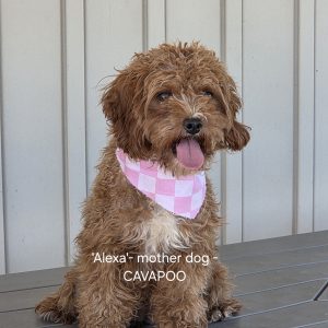 mom