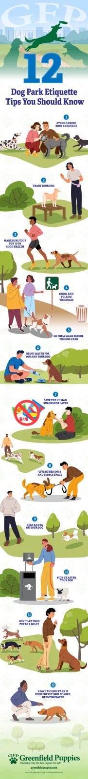 Dog Park Etiquette Tips You Should Know - Infographic by Greenfield Puppies