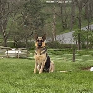 mom