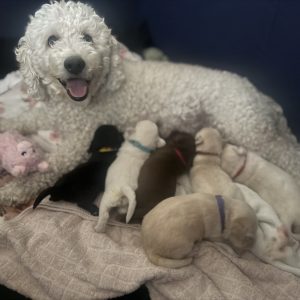 mom