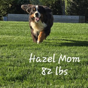 mom