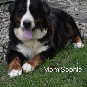 mom