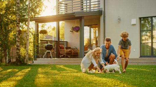 3 Common Mistakes New Puppy Parents Make