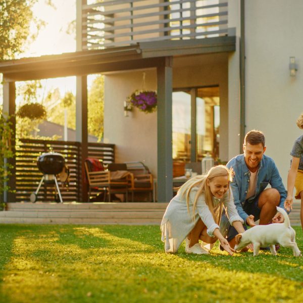 family and puppy outside in the yard on a sunny day