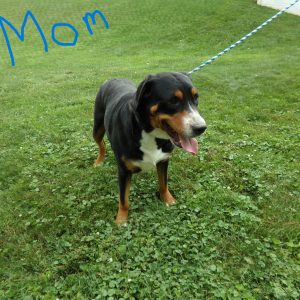mom