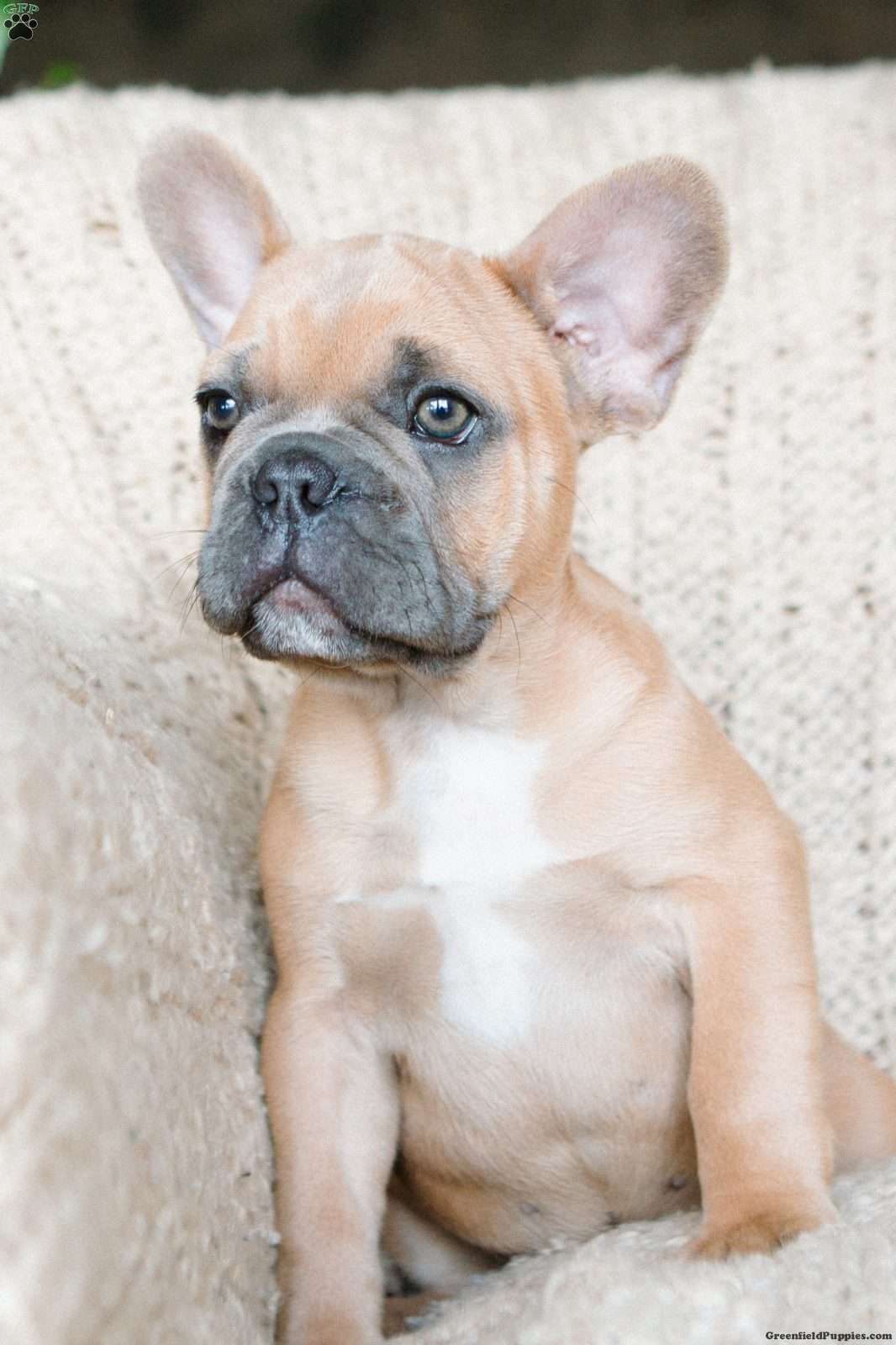 Parker
