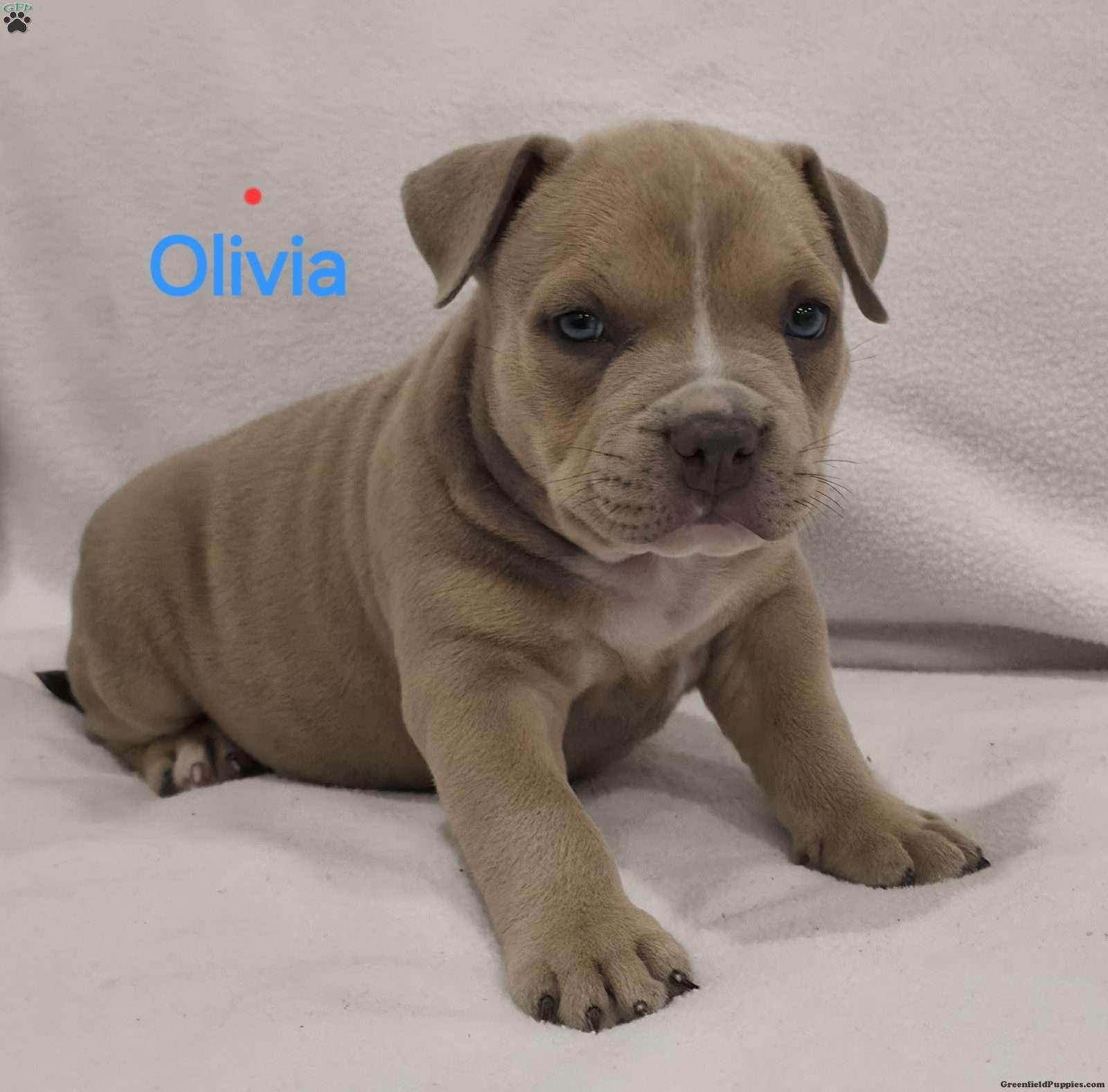 Oliver