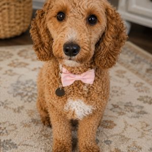 mom