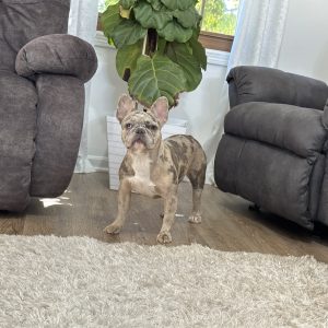 mom