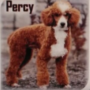 dad
