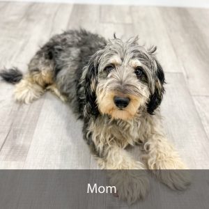 mom